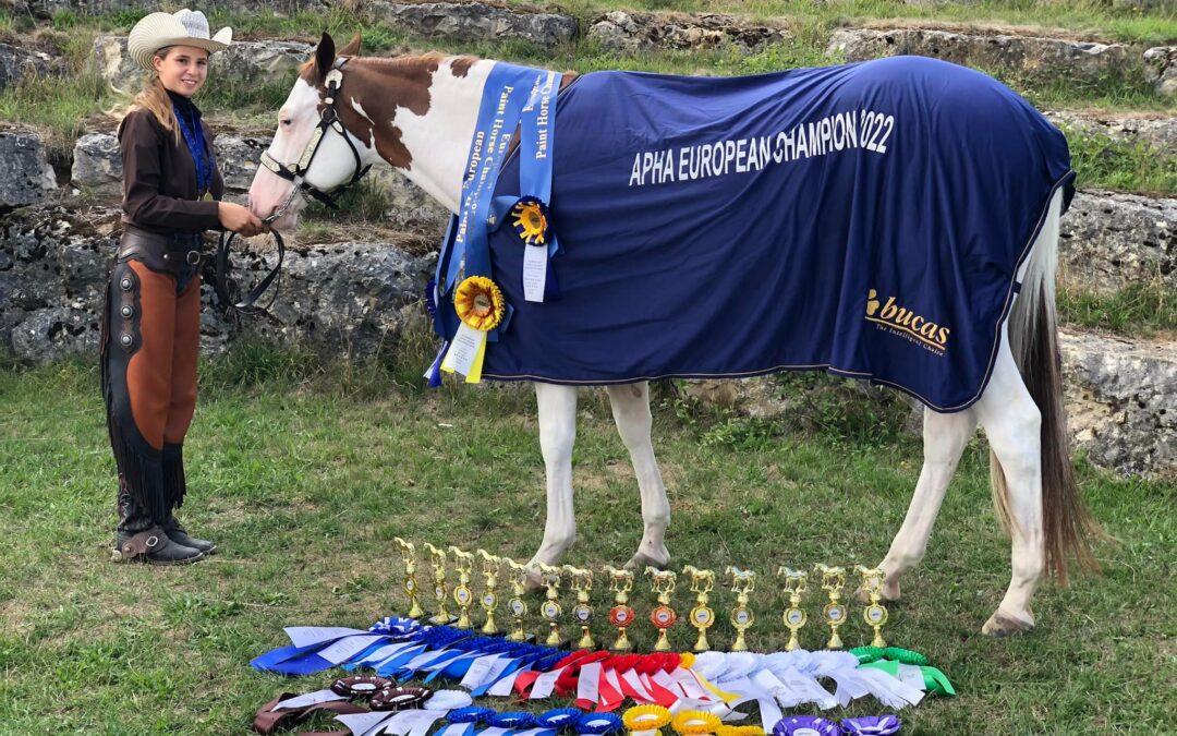 21.-28. 8. 2022 – EUROPEAN PAINT HORSE CHAMPIONSHIP (Kreuth, DE)